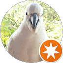 Beatrice T profile picture